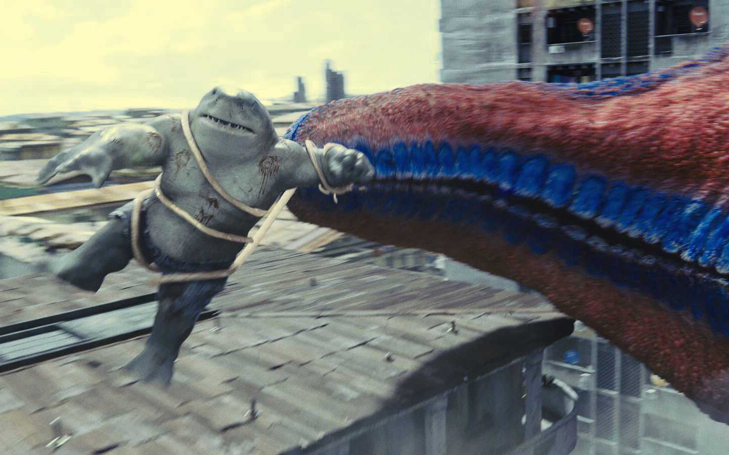 King Shark Wallpaper Desktop 1 King Shark Wallpaper Desktop 1