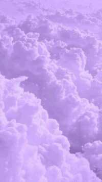 Purple Wallpaper 4