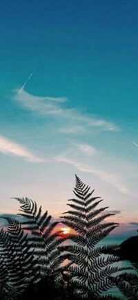 4K Nature Wallpaper 9