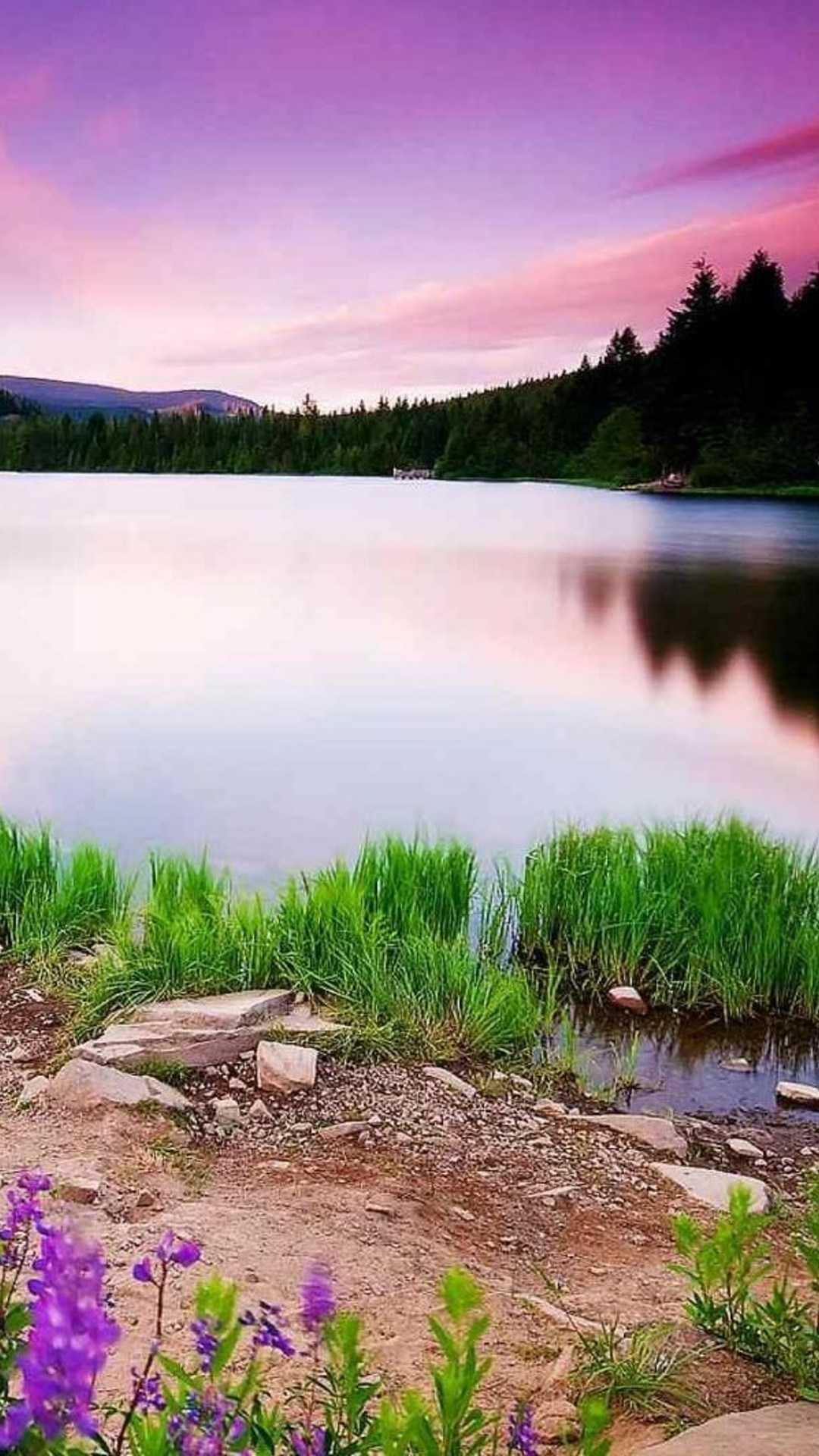 Nature Wallpaper 1 Nature Wallpaper 1