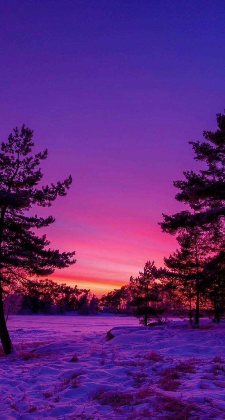 Nature Background 1 Nature Background 1