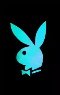 HD Playboy Bunny Wallpaper 10