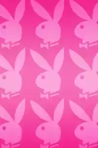 Playboy Bunny Wallpaper 7