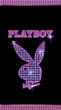 4K Playboy Bunny Wallpaper 6