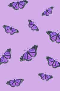 Purple Wallpaper 3