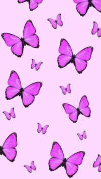 HD Purple Wallpaper 5