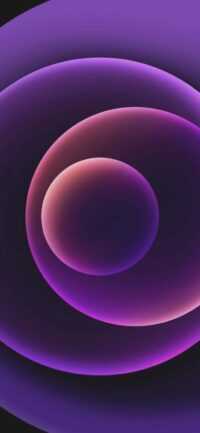 4K Purple Wallpaper 3