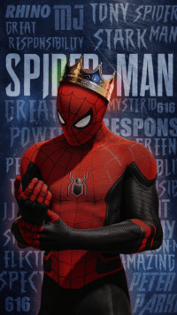 Spider Man Background 6