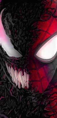 Spider Man Wallpaper 8