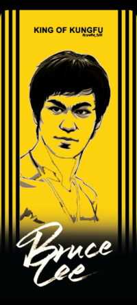 Bruce Lee Wallpapers 6