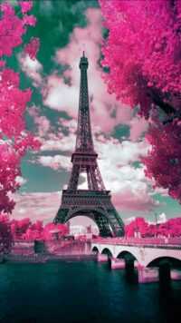 Eiffel Tower Background 5