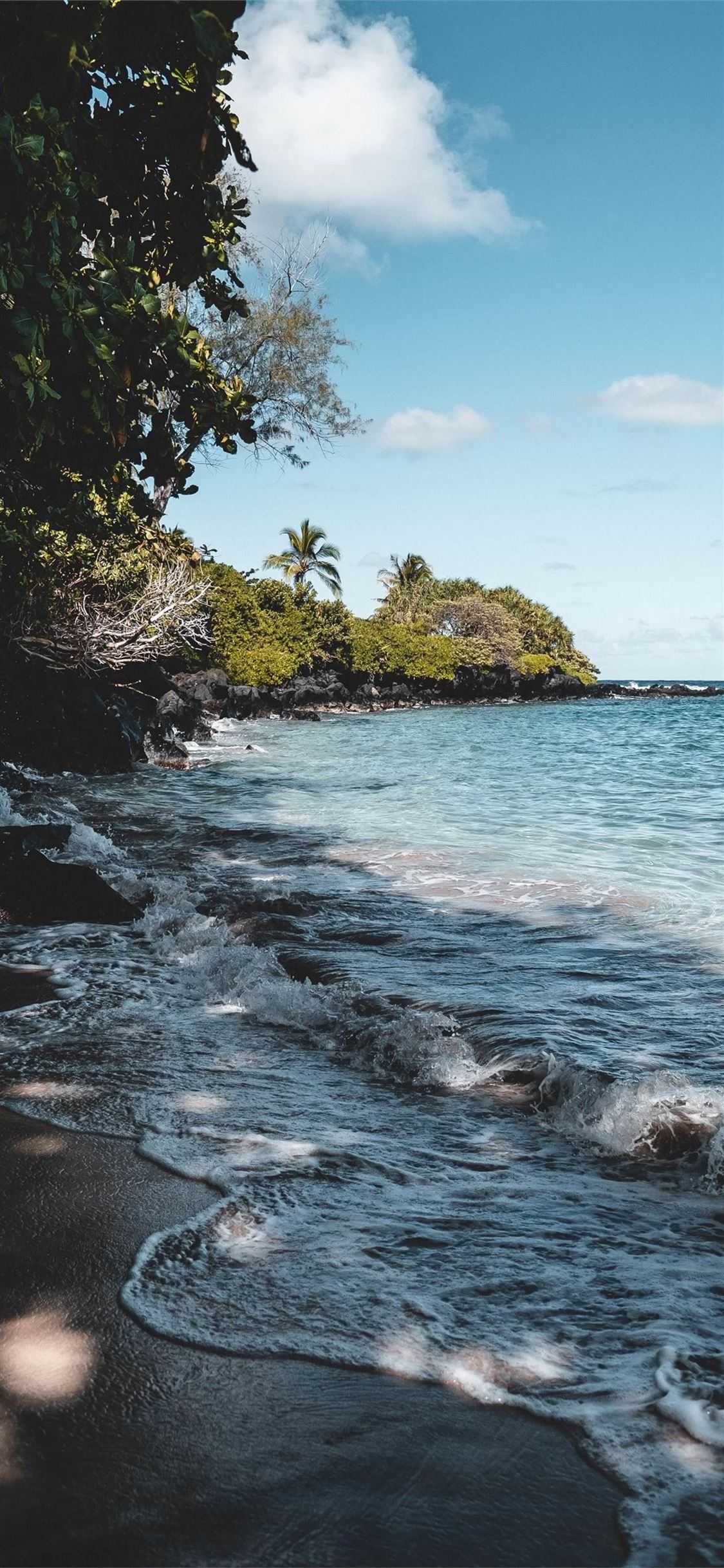 Hawaii Background 1