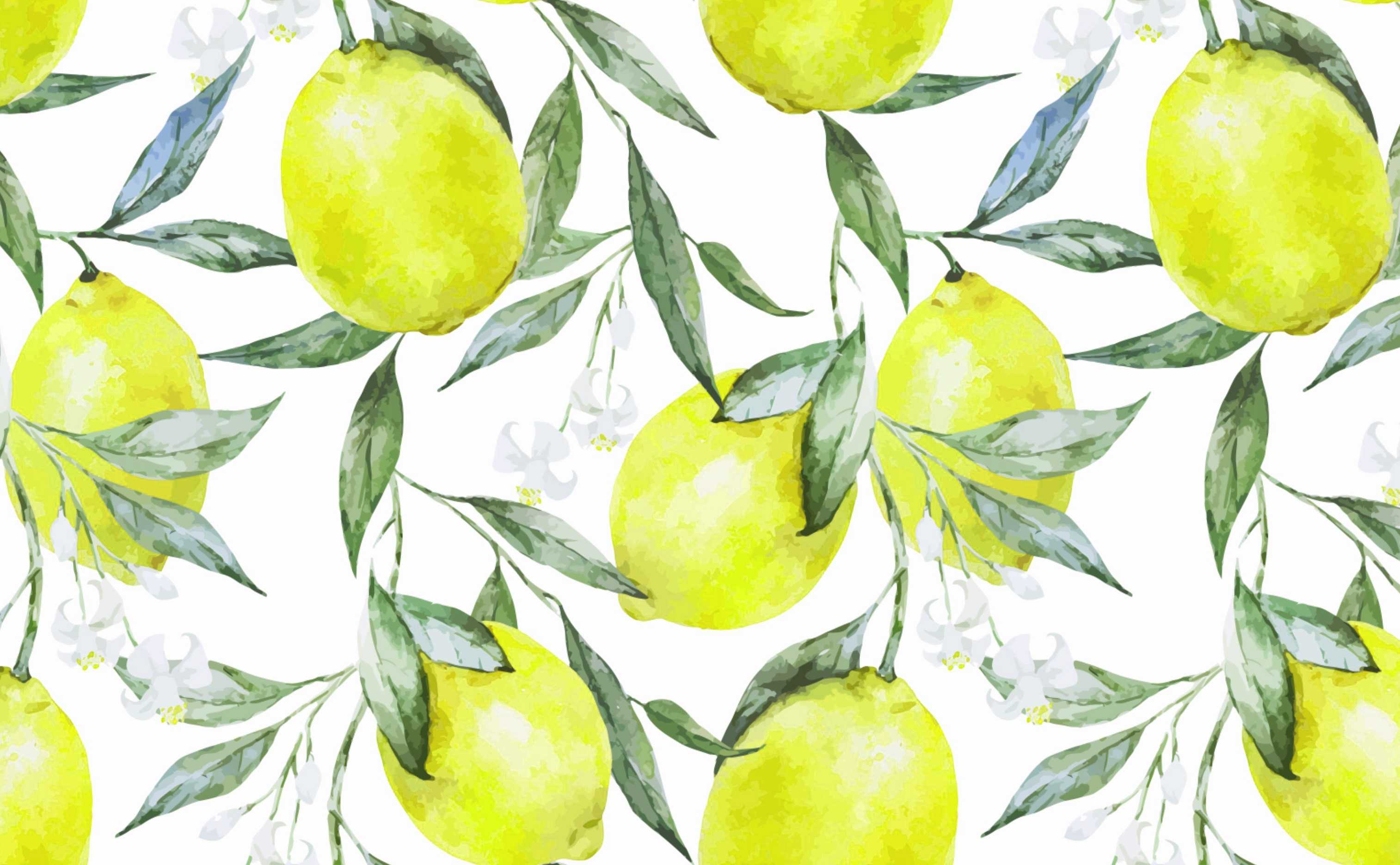 Desktop Lemon Wallpaper 1