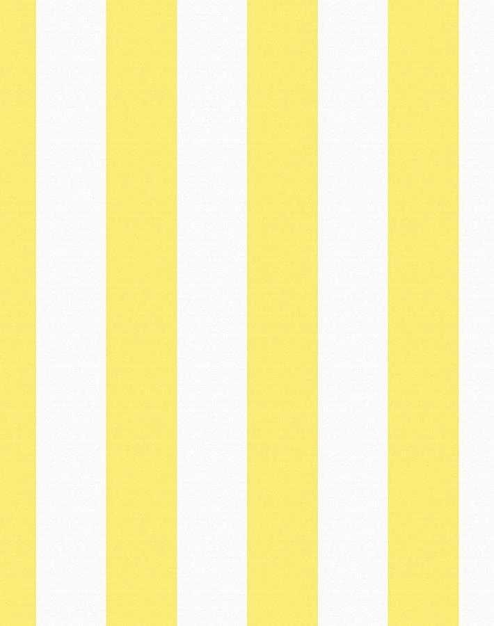 Lemon Wallpaper 1
