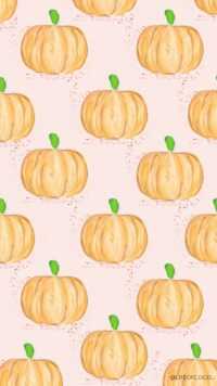 Pumpkin Background 9