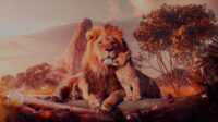 The Lion King Wallpaper Desktop 1