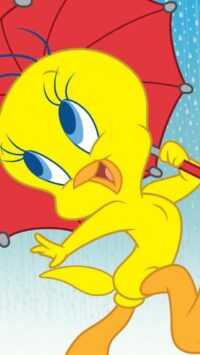 Tweety Wallpaper 6