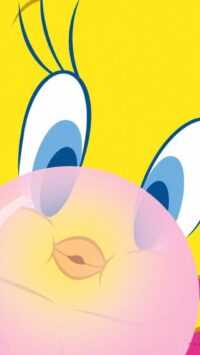 Tweety Wallpaper 9