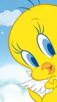 Tweety Wallpaper 10
