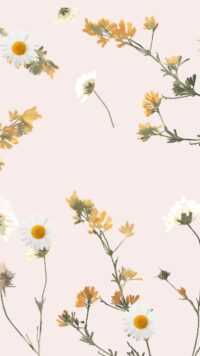 Boho Chic Wallpaper 1