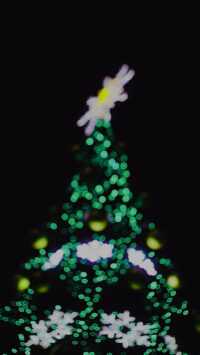 Christmas Tree Background 6