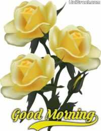 HD Good Morning Wallpaper 1