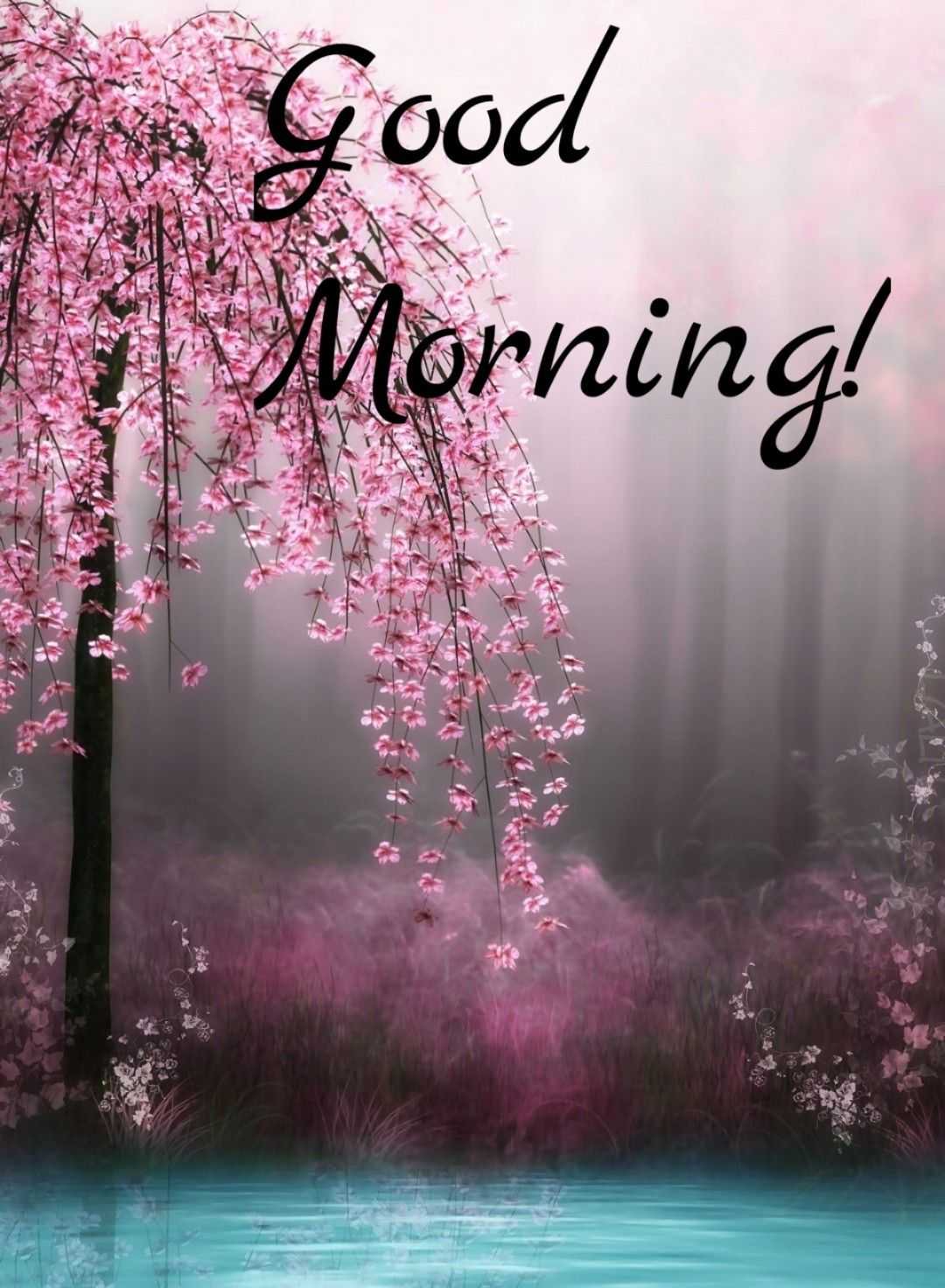 Buenos Días Wallpaper - KoLPaPer - Awesome Free HD Wallpapers