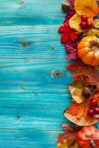 Fall Iphone wallpaper 4