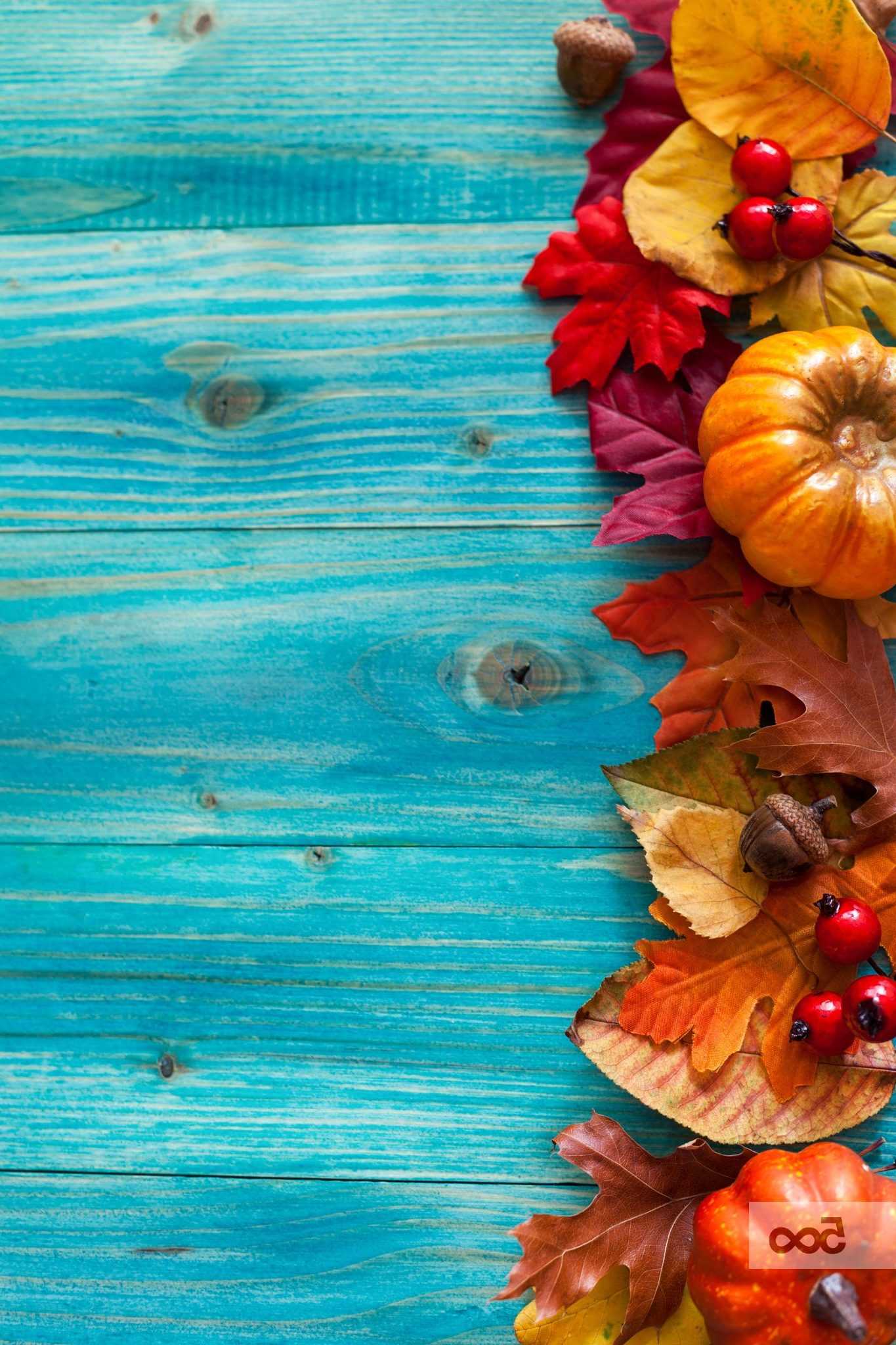 Fall Iphone wallpaper 1 Fall Iphone wallpaper 1