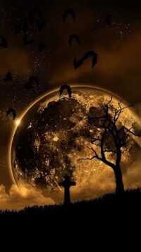 HD Night Wallpaper 1