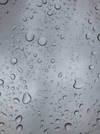 Rain Wallpaper 2