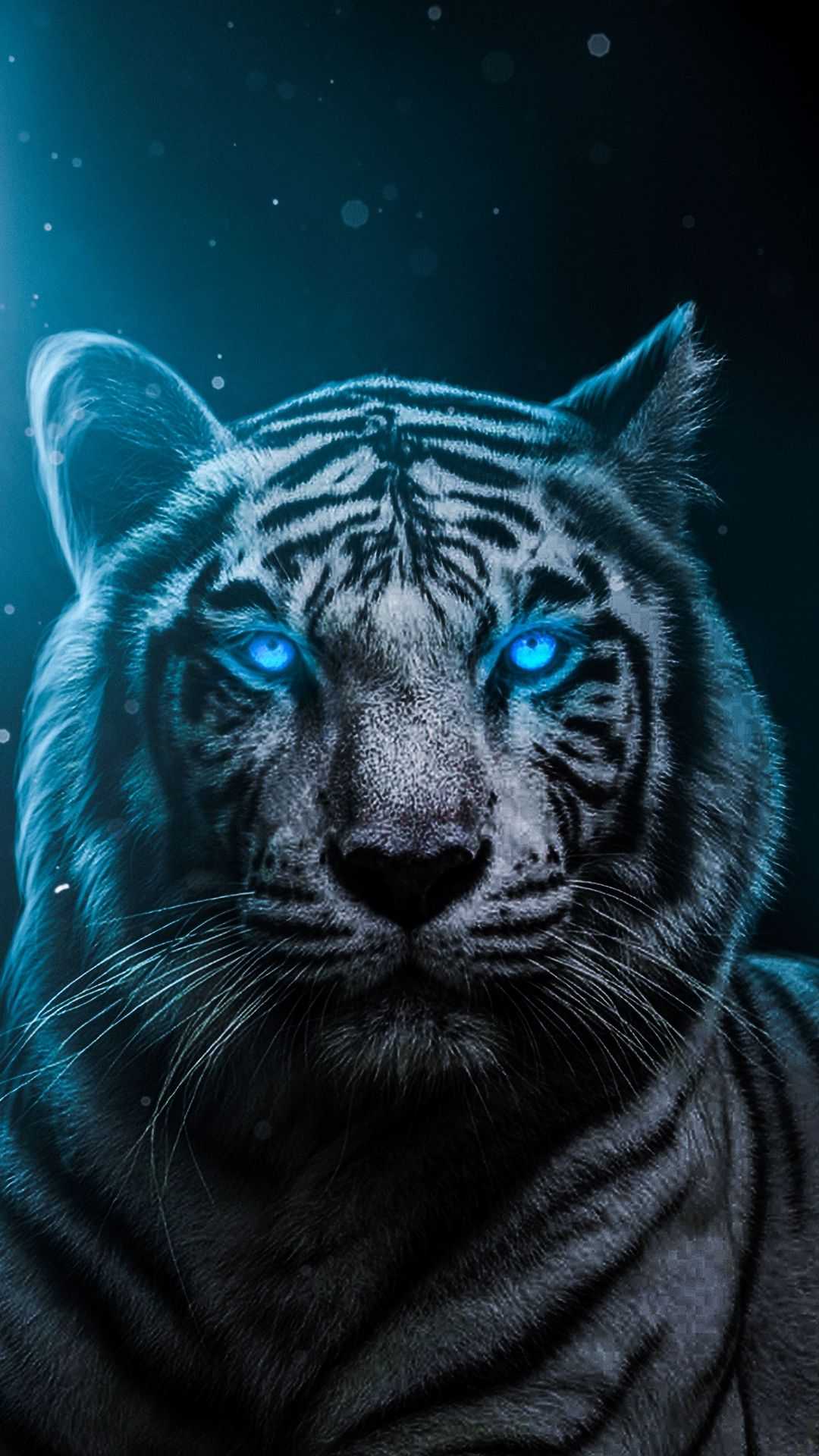 Tiger Wallpaper 1