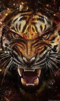 4K Tiger Wallpaper 7