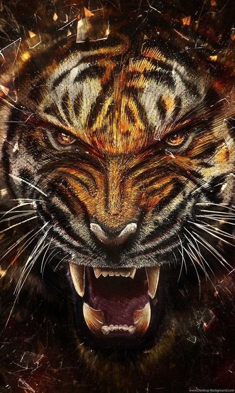 4K Tiger Wallpaper 1