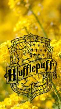 Hufflepuff Background 5