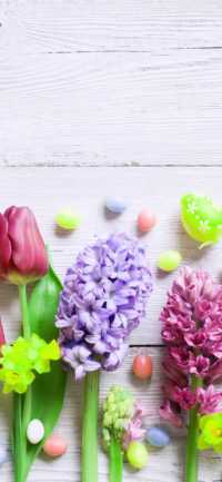 Hyacinth Background 5