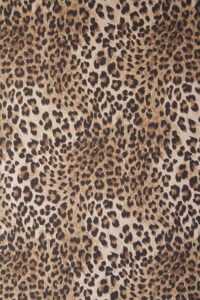 4K Leopard Wallpaper 1