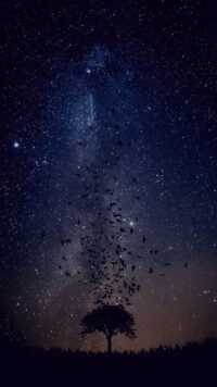 Night Sky Wallpaper 8