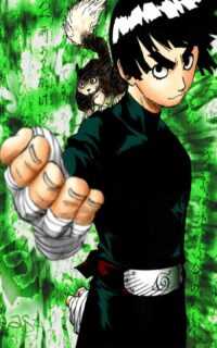 HD Rock Lee Wallpaper 10