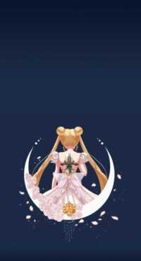 Sailor Moon Background 6