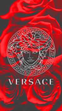 HD Versace Wallpaper 7
