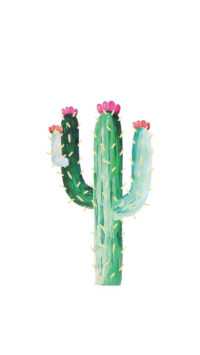 Cactus Background 2