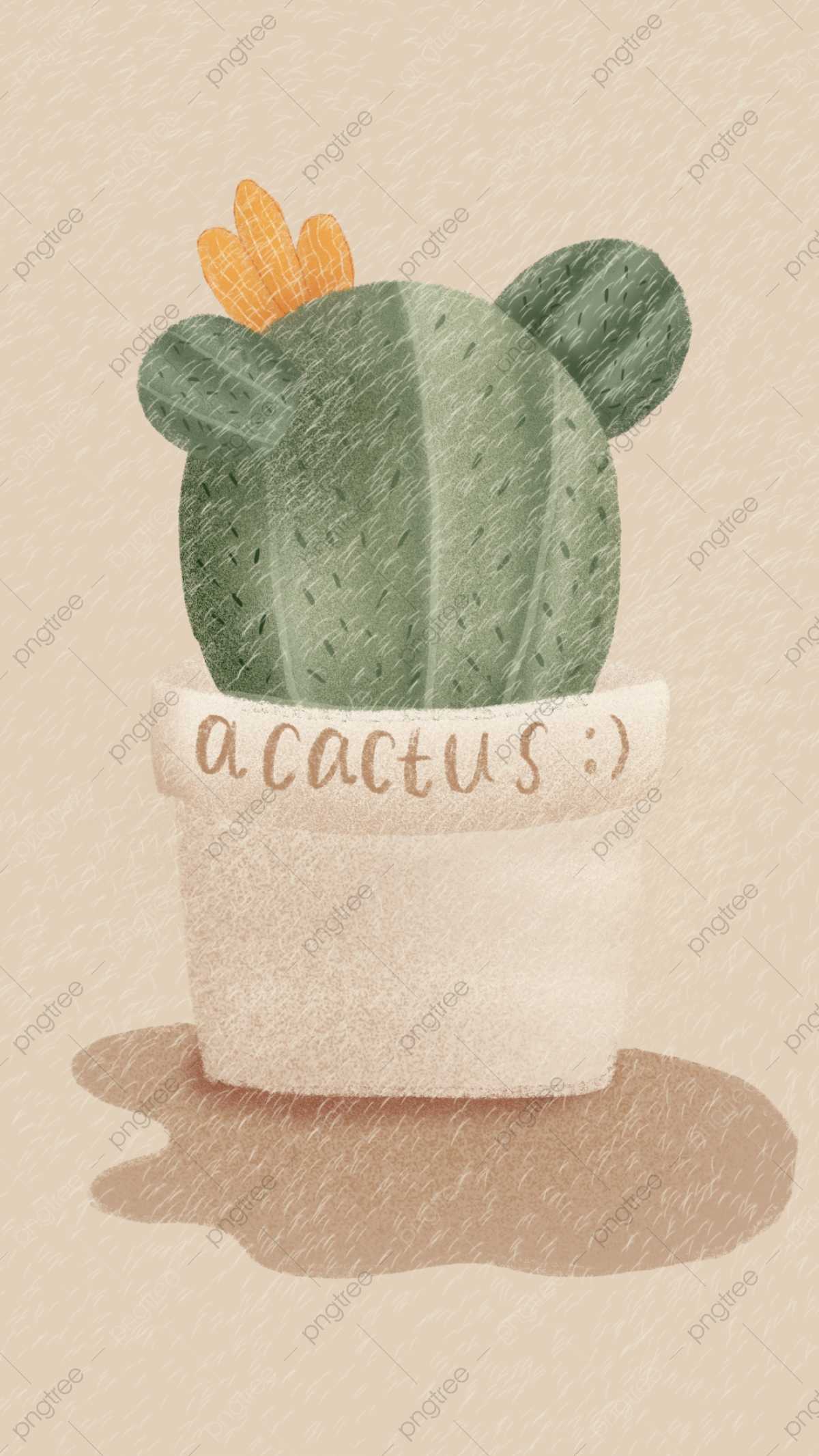 HD Cactus Wallpaper 1 HD Cactus Wallpaper 1