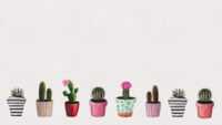 Desktop Cactus Wallpaper 1