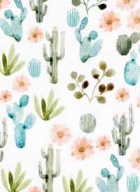 Cactus Wallpaper 4