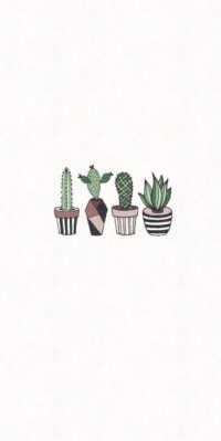 Cactus Wallpaper 5