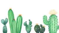 Desktop Cactus Wallpaper 10