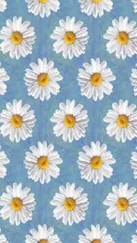 Daisy Background 1