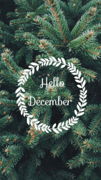 December Background 2