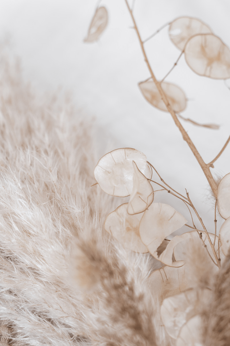 Beige Wallpaper 1 Beige Wallpaper 1